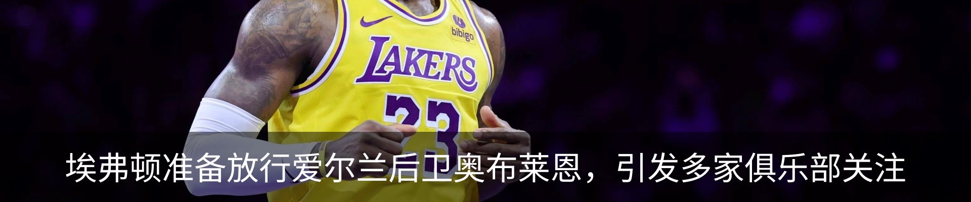 新闻动态